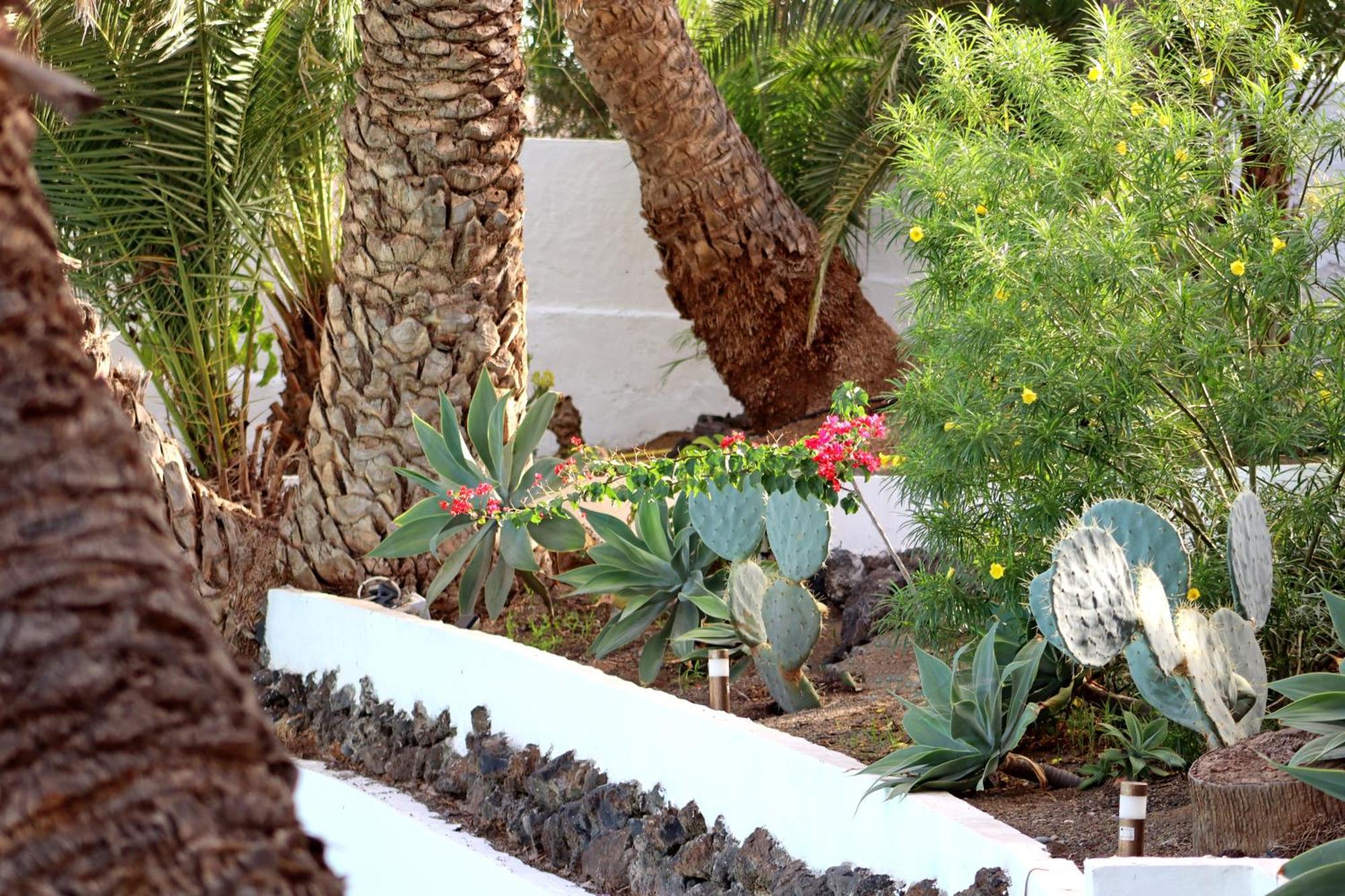 Cortijo San Ignacio Hotel El Cortijo  Eksteriør billede