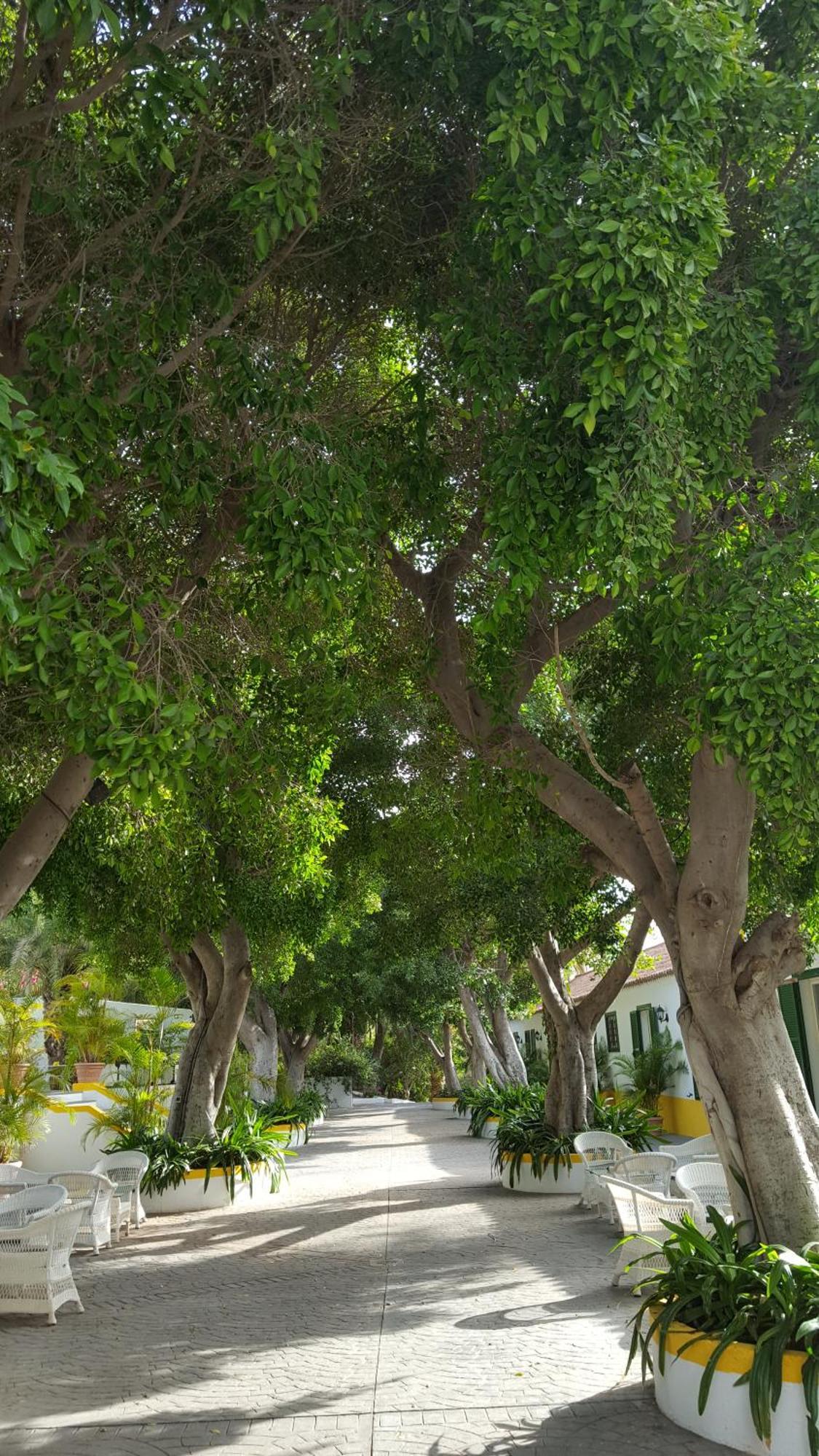 Cortijo San Ignacio Hotel El Cortijo  Eksteriør billede